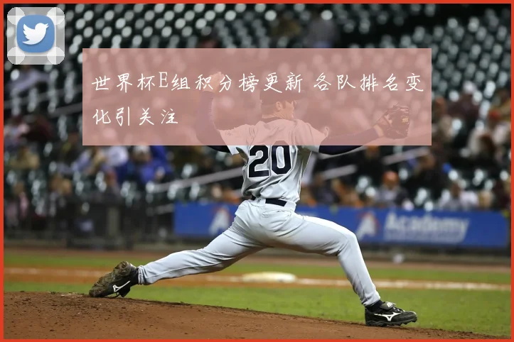 世界杯E组积分榜更新 各队排名变化引关注