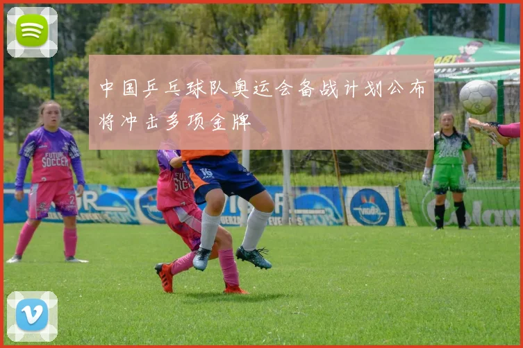 中国乒乓球队奥运会备战计划公布将冲击多项金牌