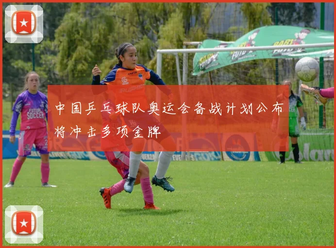 中国乒乓球队奥运会备战计划公布将冲击多项金牌