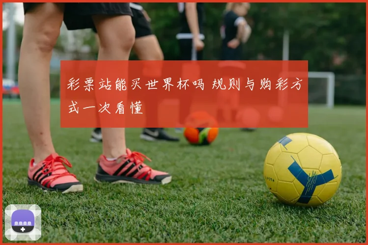 彩票站能买世界杯吗 规则与购彩方式一次看懂
